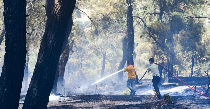 İzmir ve Balıkesir'deki orman yangınları kontrol altına alındı