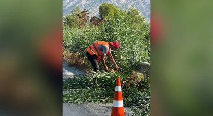 Çamlıbel- Geçitköy- Karşıyaka yol güzergahında temizlik çalışmaları...
